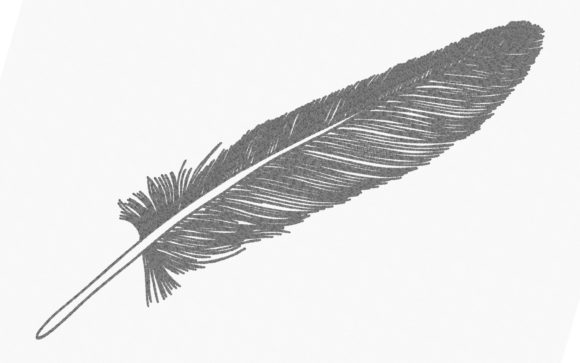 Feather One Line: A Minimalist Hit for Craft Fairs