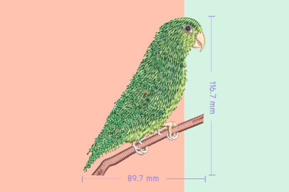 Review: Forpus Green Cute Bird for Holiday Crafts
